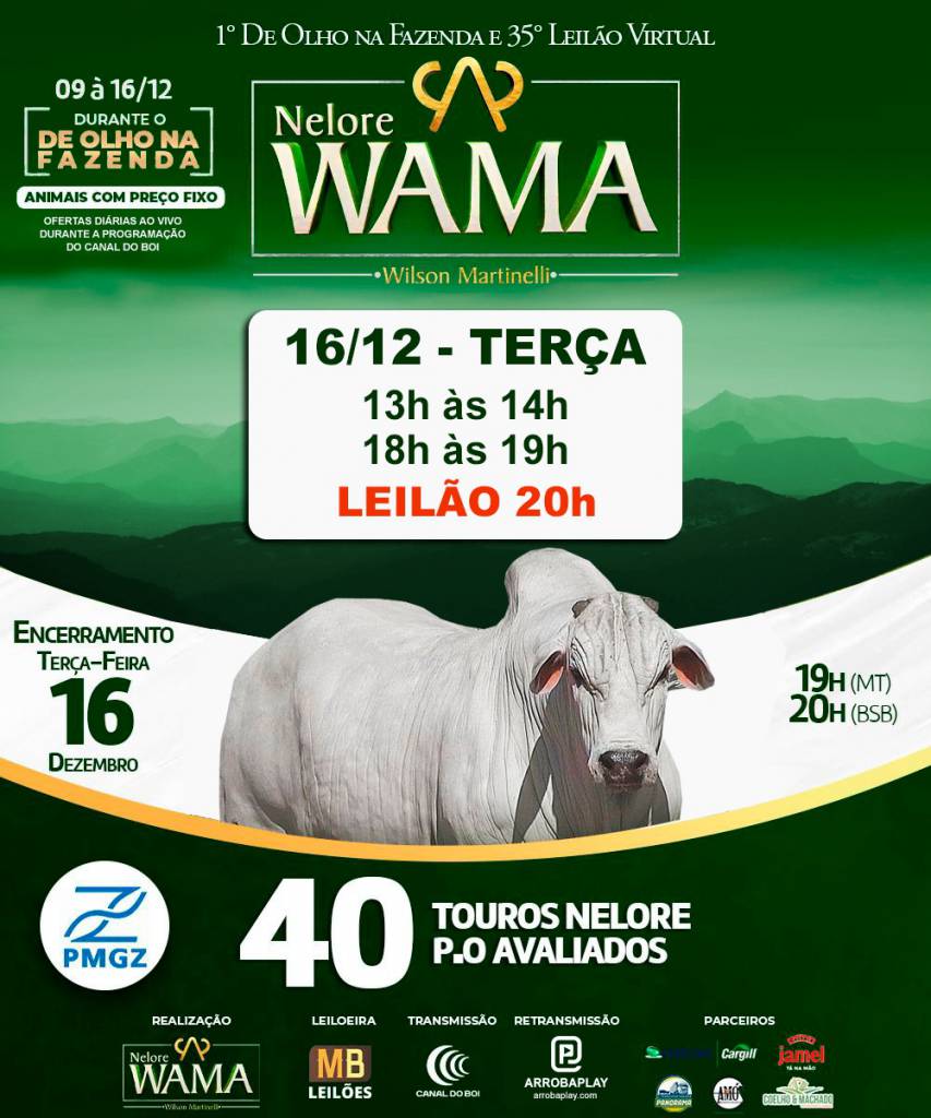 Leilão Virtual Fazenda Nelore Wama oferta touros nelore no Canal do Boi