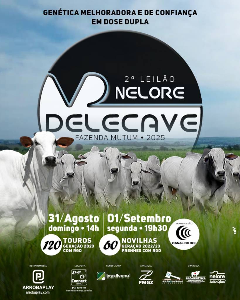 2º Leilão Virtual Nelore Delecave oferta fêmeas prenhes com RGD hoje às 19h30 no Canal do Boi e Agro Canal
