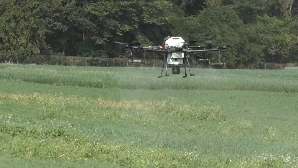 Evento da Embrapa debate uso de imagens na fenotipagem de plantas em MS