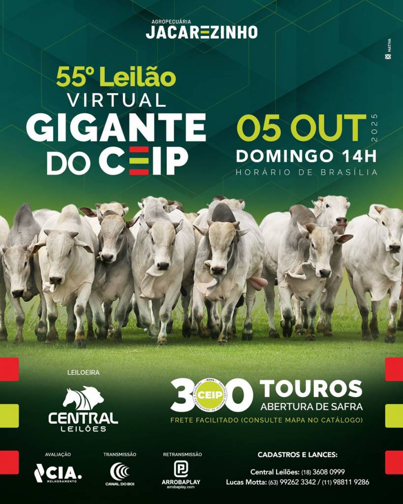 55º Leilão Virtual Gigante do CEIP Agropecuária Jacarezinho hoje às 14h no Canal do Boi 