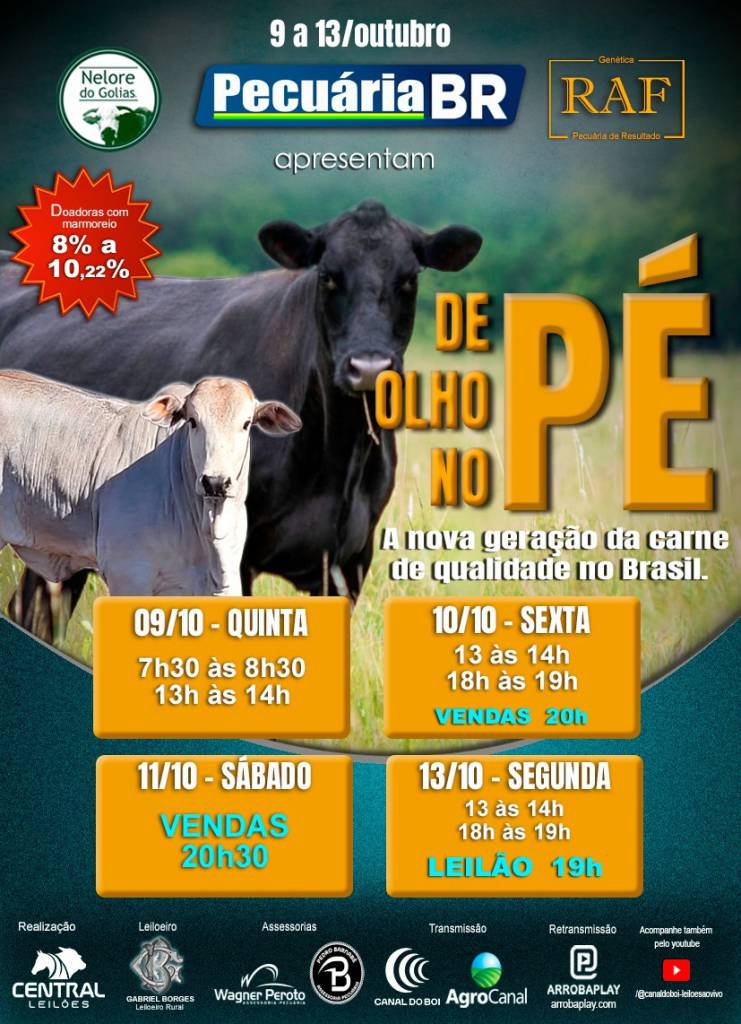 De Olho no Pé Pecuária BR oferta receptoras paridas com bezerros ao pé de alta qualidade genética