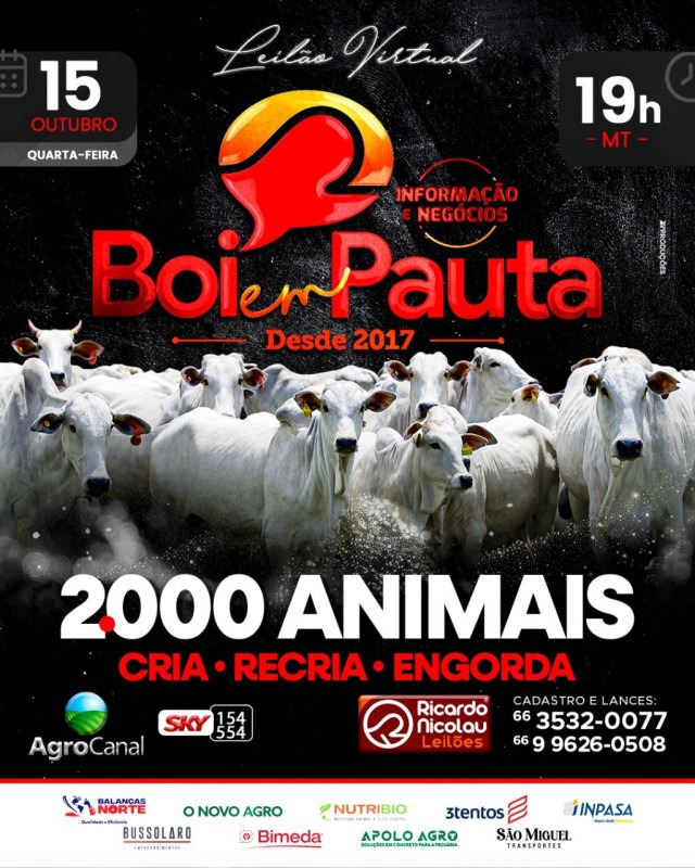Leilão Virtual Boi em Pauta hoje às 20h no Agro Canal