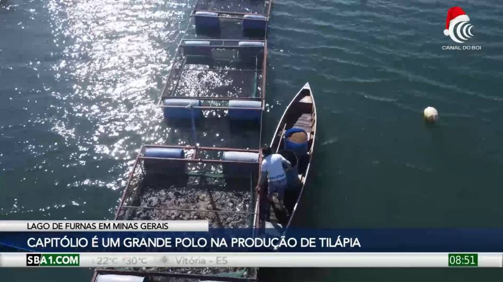 Lago de Furnas em Minas Gerais é um grande polo na produção de tilápia para a região