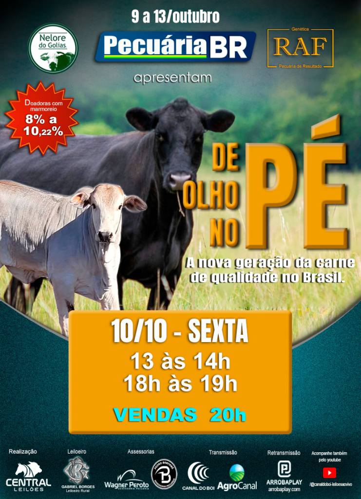 De Olho no Pé Pecuária BR oferta receptoras paridas com bezerros ao pé de alta qualidade genética