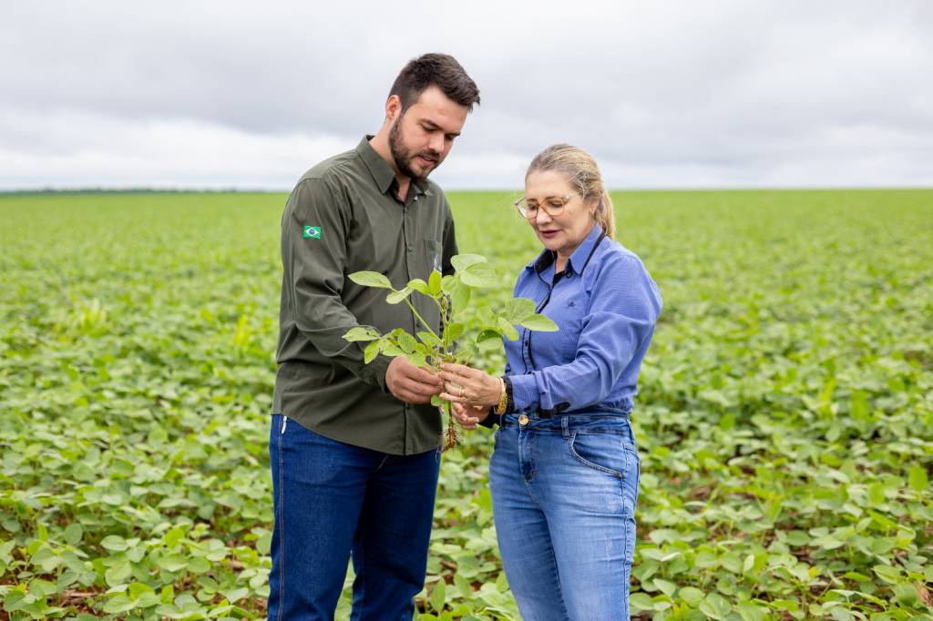 Produtores relatam atrasos no plantio e desafios logísticos no 7º episódio do MT Clima e Mercado