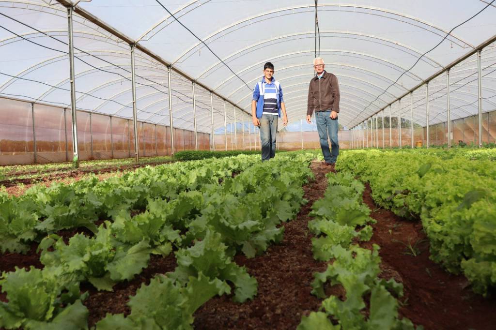 Edital que destina R$ 7 milhões para projetos de extensão rural na agricultura familiar recebe mais de 100 propostas em MS