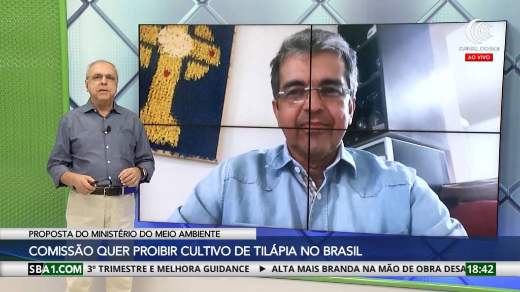 Tilápia na lista de espécies invasoras pode travar crescimento da piscicultura nacional