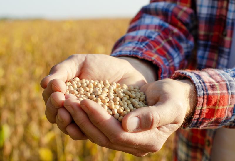 Mato Grosso do Sul registra saldo positivo de US$ 6,3 bilhões na balança comercial de 2025