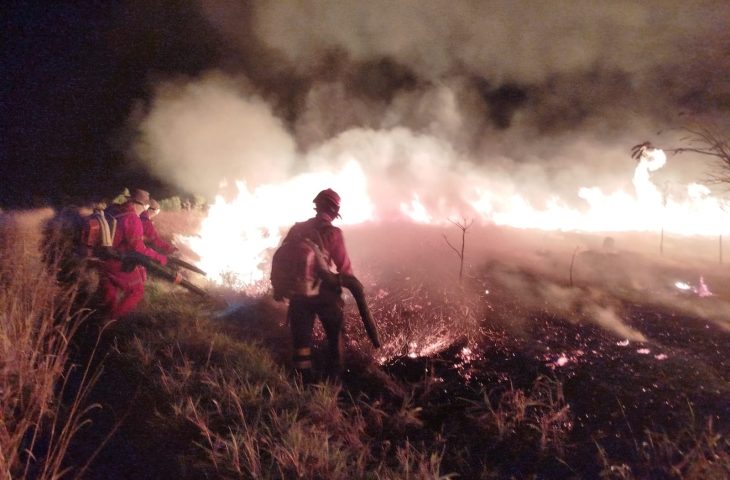 Operação Pantanal: atuação do Corpo de Bombeiros contribui para controle de incêndio em parque estadual de MS
