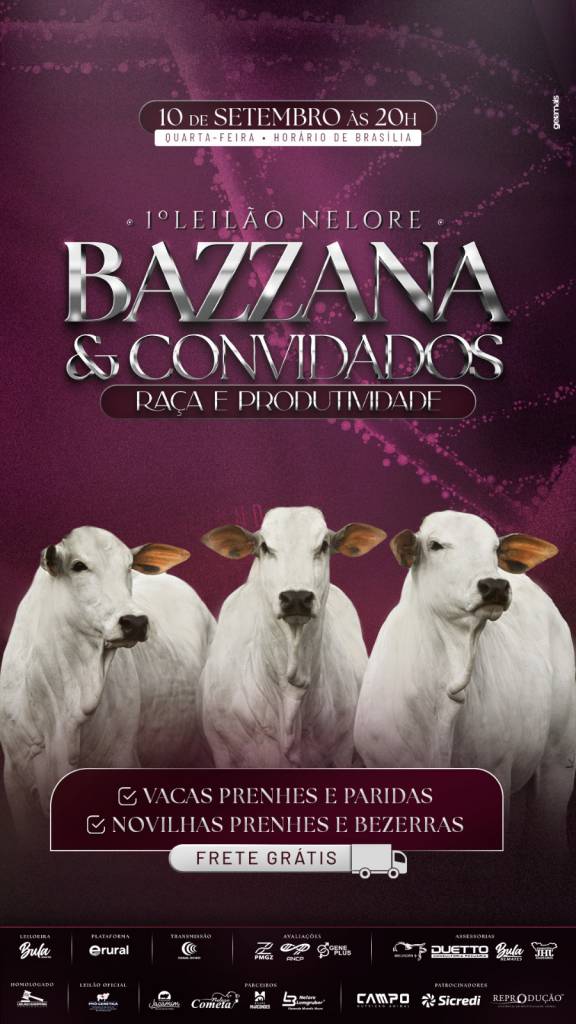 1º Leilão Nelore Bazzana e Convidados hoje às 20h no Canal do Boi