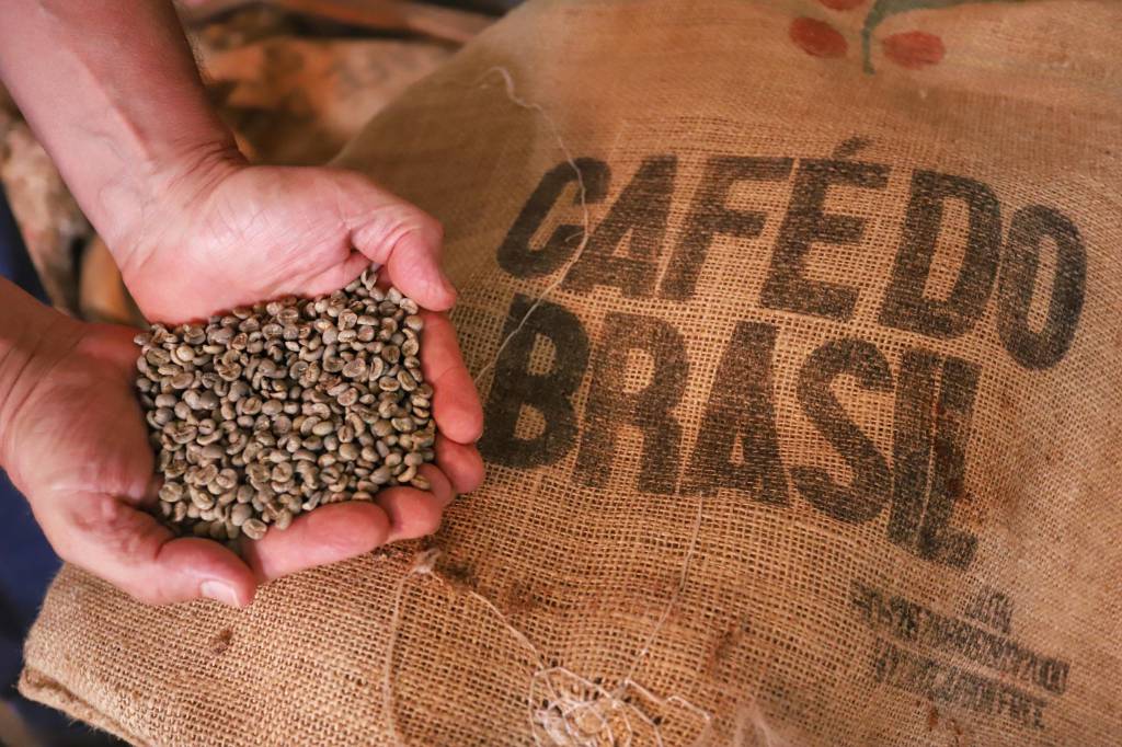 Exportações de café do Paraná têm melhor 1º semestre dos últimos 12 anos em receita