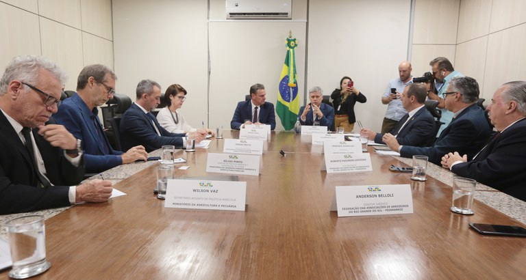 Governo Federal recebe representantes do setor produtivo de arroz