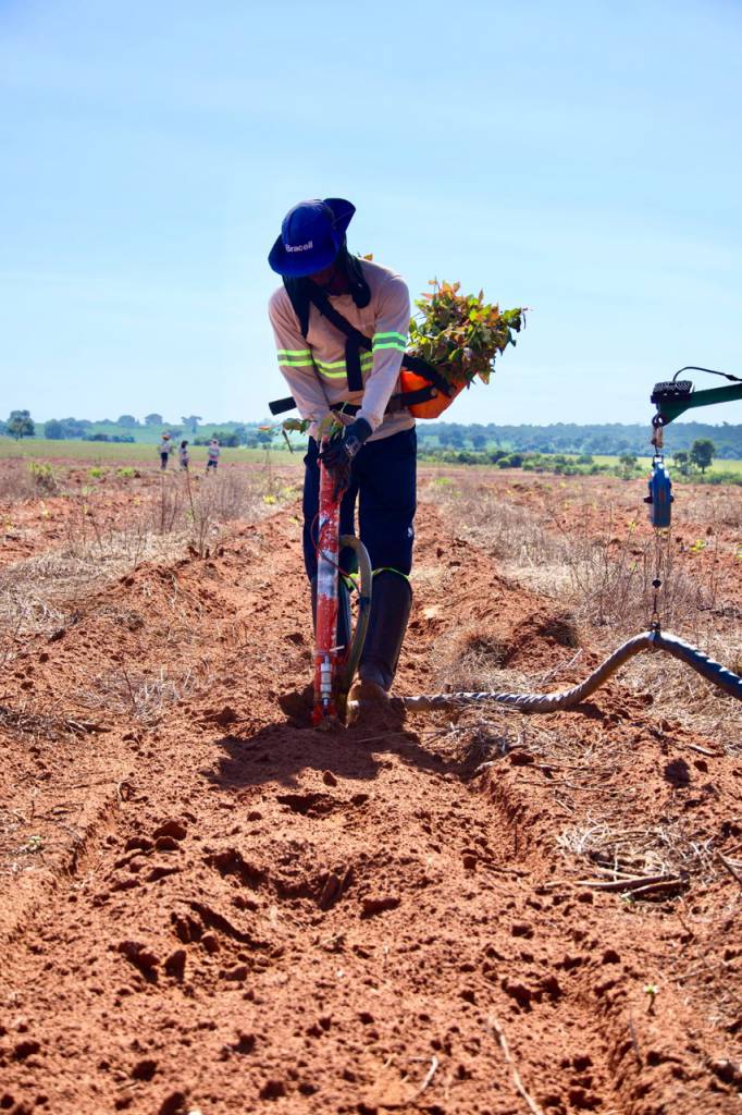 MS Florestal abre 53 vagas de emprego nas operações de Silvicultura em Santa Rita do Pardo