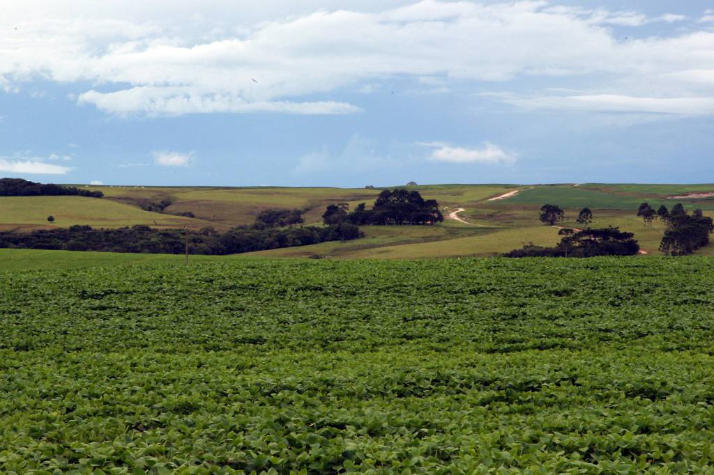 Primeira estimativa da safra 2025/26 mostra aumento na produção de soja e milho no Paraná