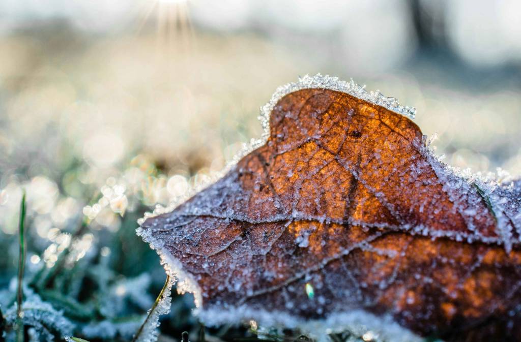 Frio fora de época surpreende o Sul do Brasil em Dezembro