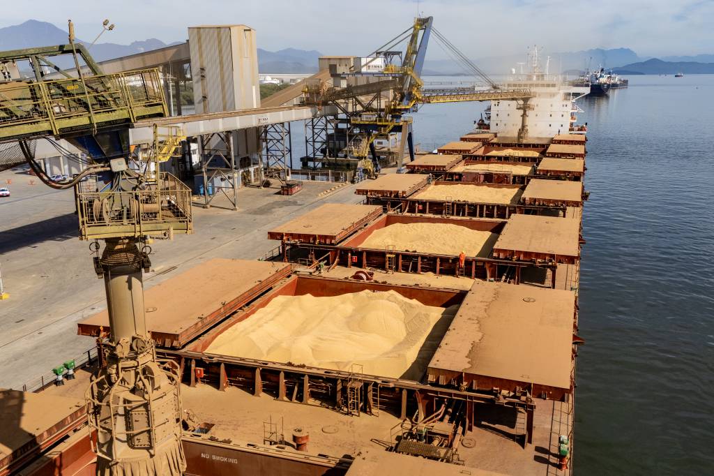 Pressão em Chicago com tarifas Argentinas e soja brasileira mais competitiva