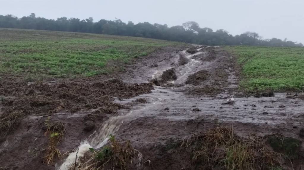Avaliações dos impactos na agricultura e produção de proteínas do RS