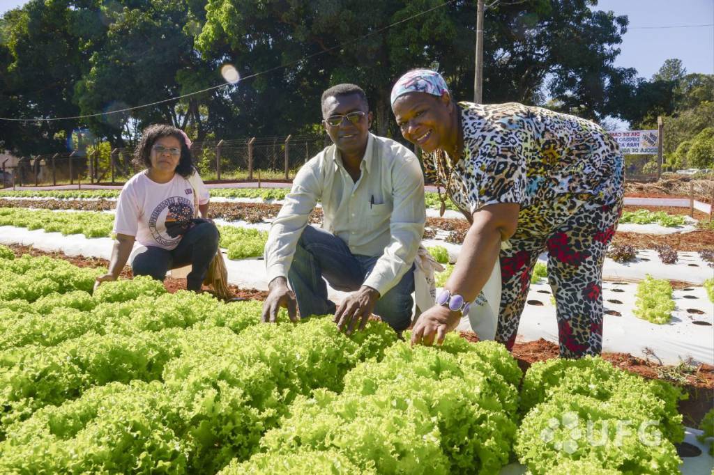 Em Goiás, Emater realiza Semana do Cadastro Nacional da Agricultura Familiar