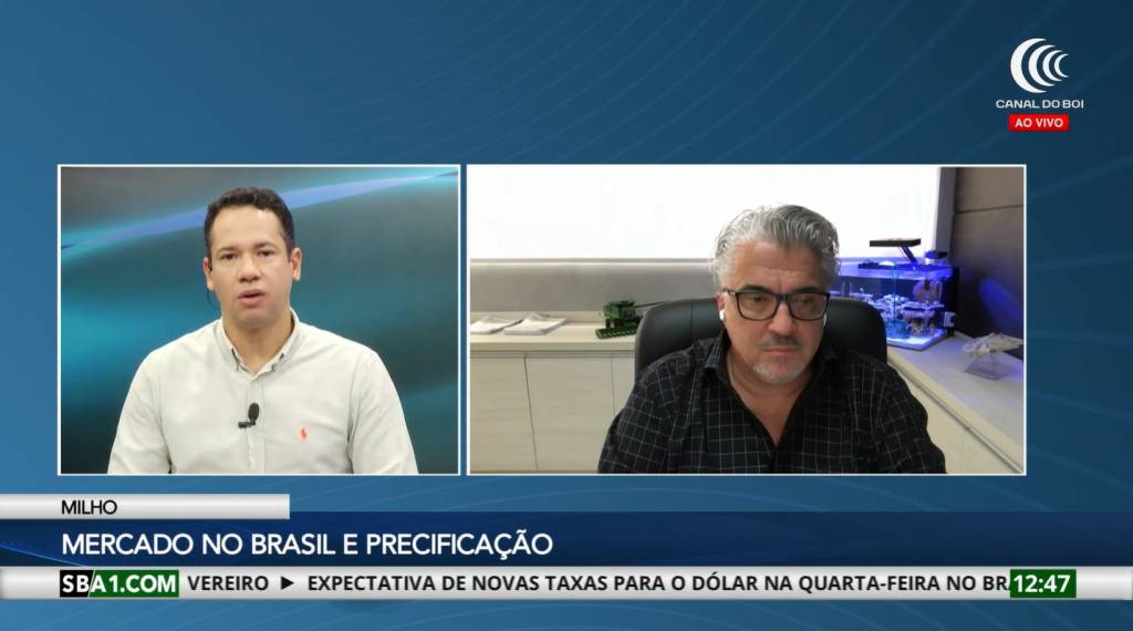 Mercado do milho no Brasil segue na expectativa de preços melhores