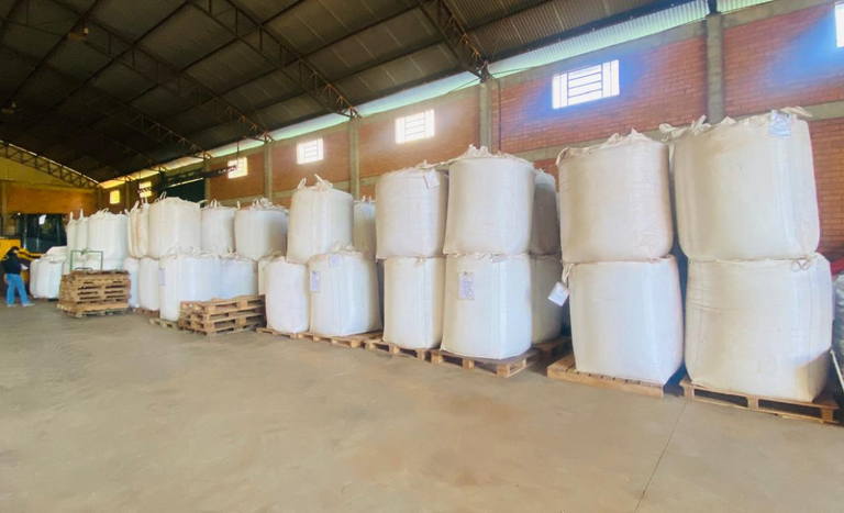 Mapa participa de operação contra sementes irregulares no Rio Grande do Sul