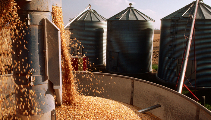 Cerealista deixa de pagar produtores de Nova Andradina e Angélica/MS por soja vendida