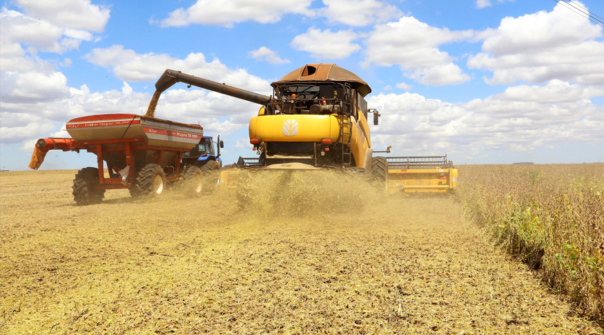 Com queda nos preços e na safra de grãos, valor da produção agrícola cai pelo segundo ano seguido 