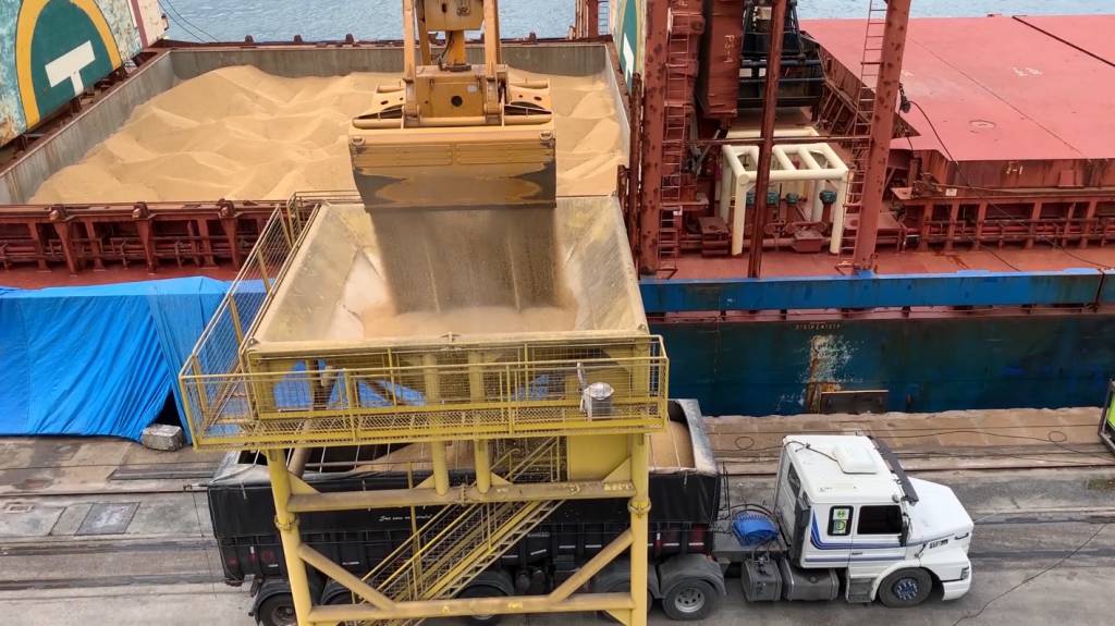 Conab aponta grande número de embarques para soja e alta no consumo do milho