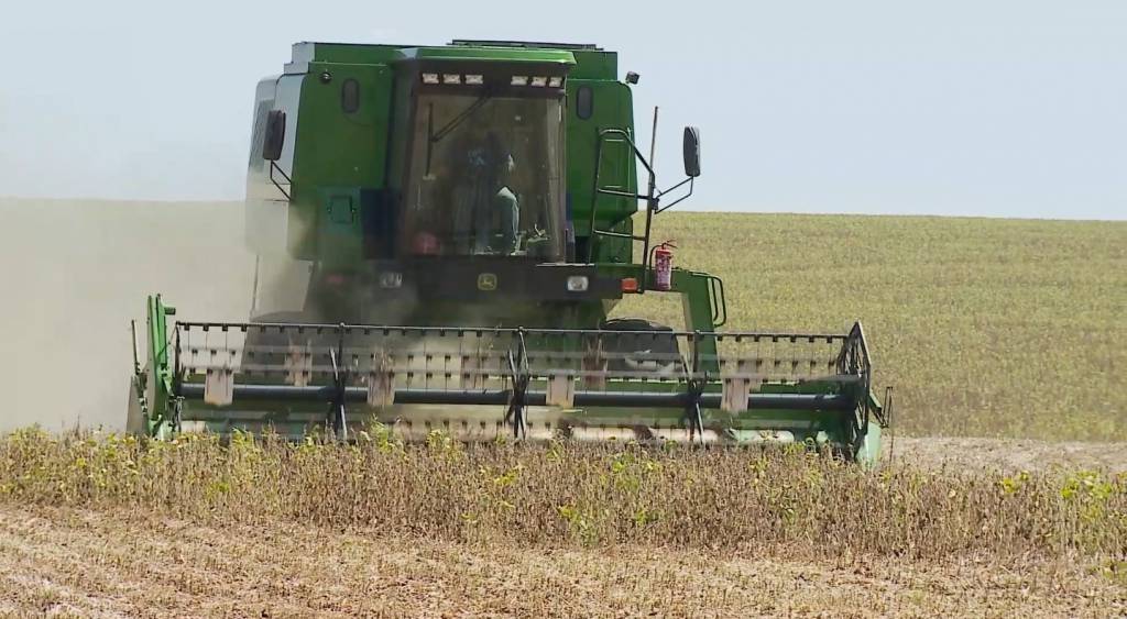 Aprosoja/MS estima redução de 13,89% na produção de soja