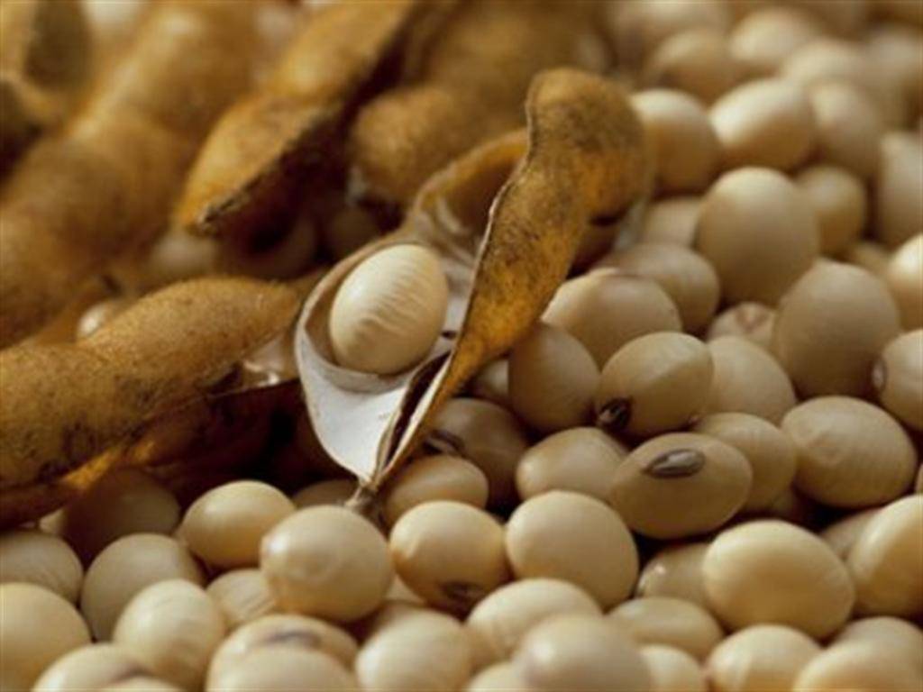 Moratória da soja: STF retomará julgamento sobre lei de Mato Grosso