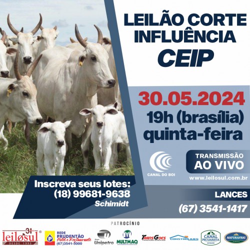 Leilão de Corte Influência CEIP hoje às 19h no Canal do Boi