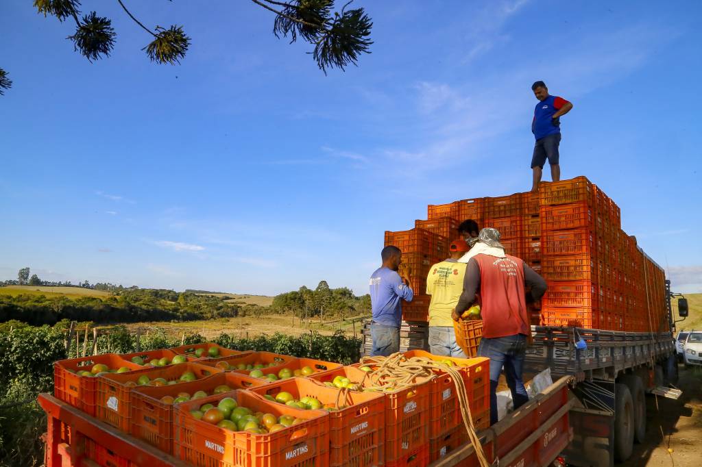 Investimentos do Paraná na agricultura cresceram 344% no primeiro semestre de 2024