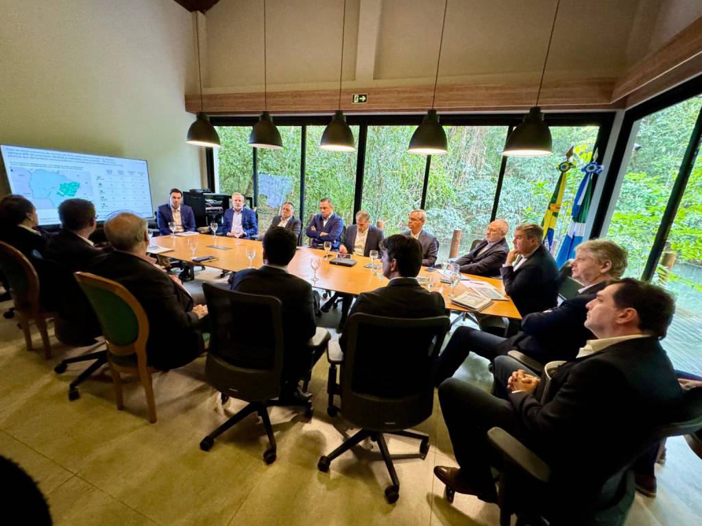 Vale da Celulose: expansão do setor florestal em MS com incentivo do Governo deve gerar cerca de 100 mil novos empregos