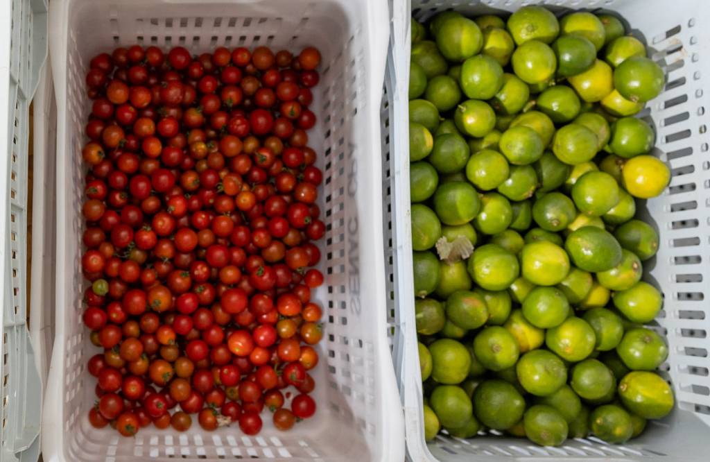 Agropecuária ajuda a segurar inflação em novembro