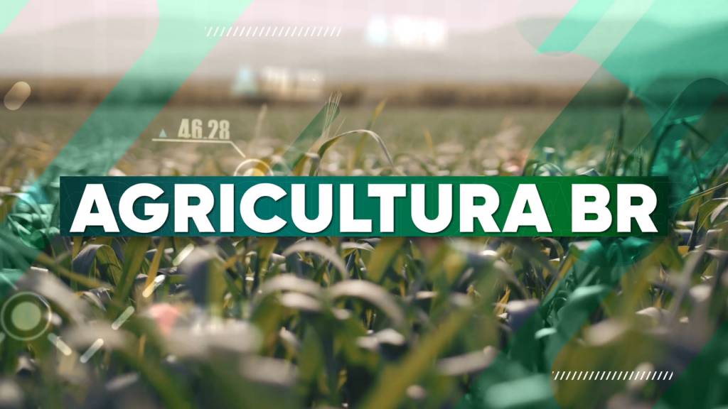 Programa: Agricultura BR