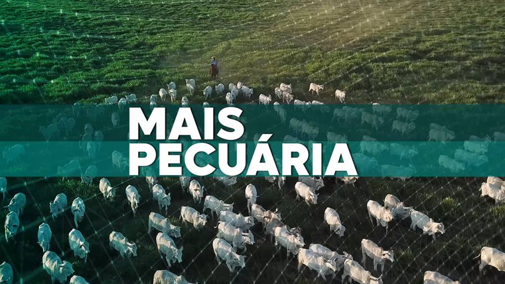 Programa: + Pecuária