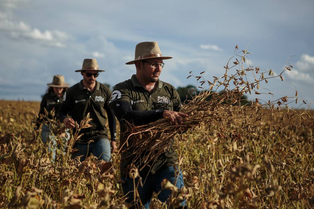 Rally da Safra inicia etapa soja com cenário de estabilidade inédita e potencial de crescimento