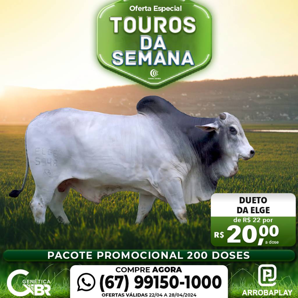 Conheça os touros com venda especial de sêmen desta semana