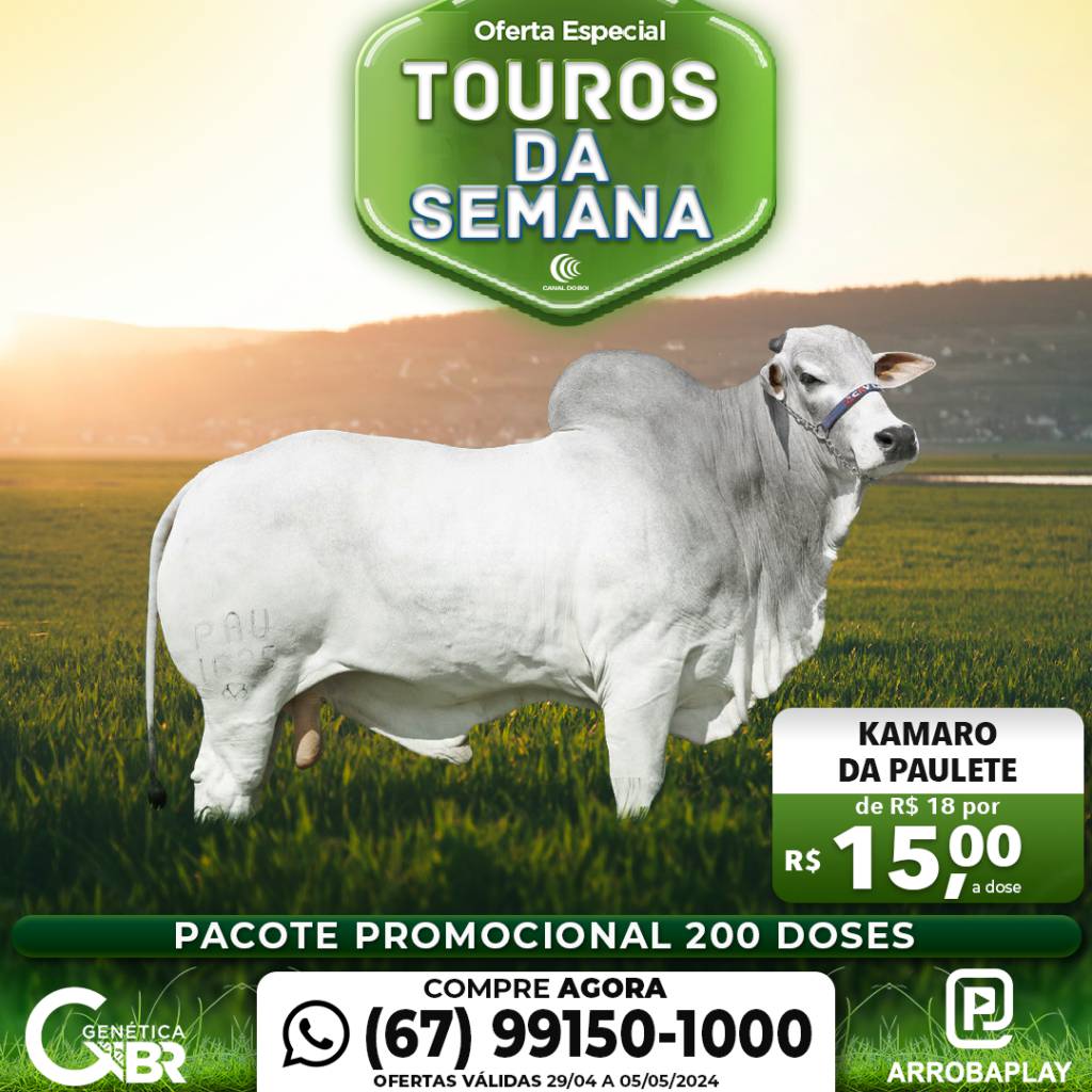 Conheça os touros com venda especial de sêmen desta semana