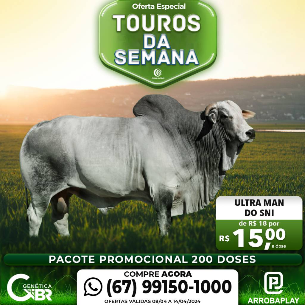 Conheça os touros com venda especial de sêmen desta semana