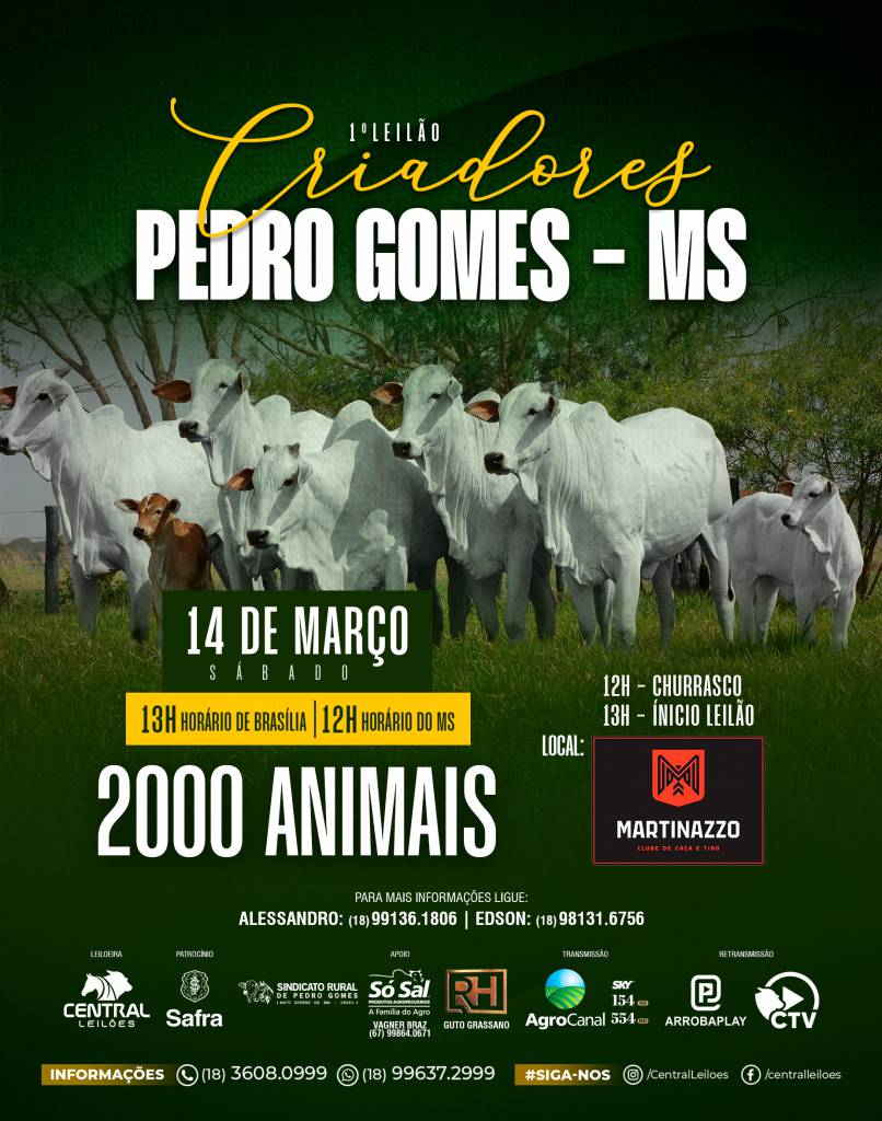 1º Leilão Criadores de Pedro Gomes oferta 2.000 animais de corte neste sábado no Agro Canal