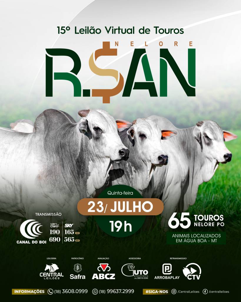 Canal do Boi transmite nesta quinta-feira o 15º Leilão Virtual de Touros Nelore R.SAN