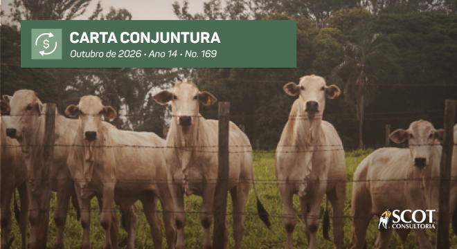 ILP como alternativa para elevar a produtividade