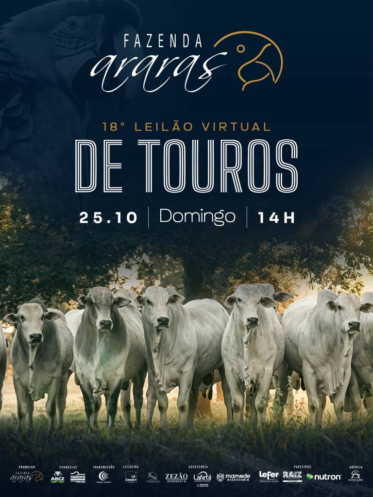 Fazenda Araras oferta touros selecionados neste domingo no Canal do Boi e AgroCanal