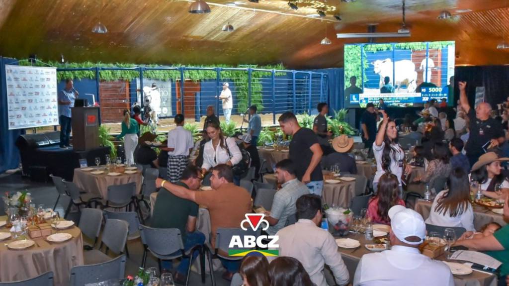 ABCZ amplia estrutura de currais para os leilões da 19ª ExpoGenética
