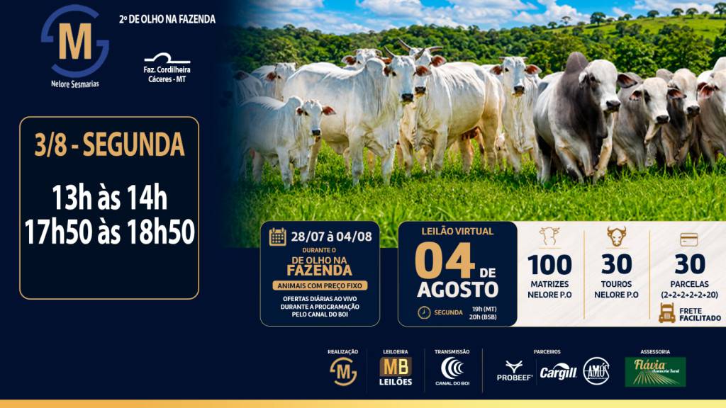 2º De Olho na Fazenda Nelore Sesmarias vende animais a preço fixo no Canal do Boi