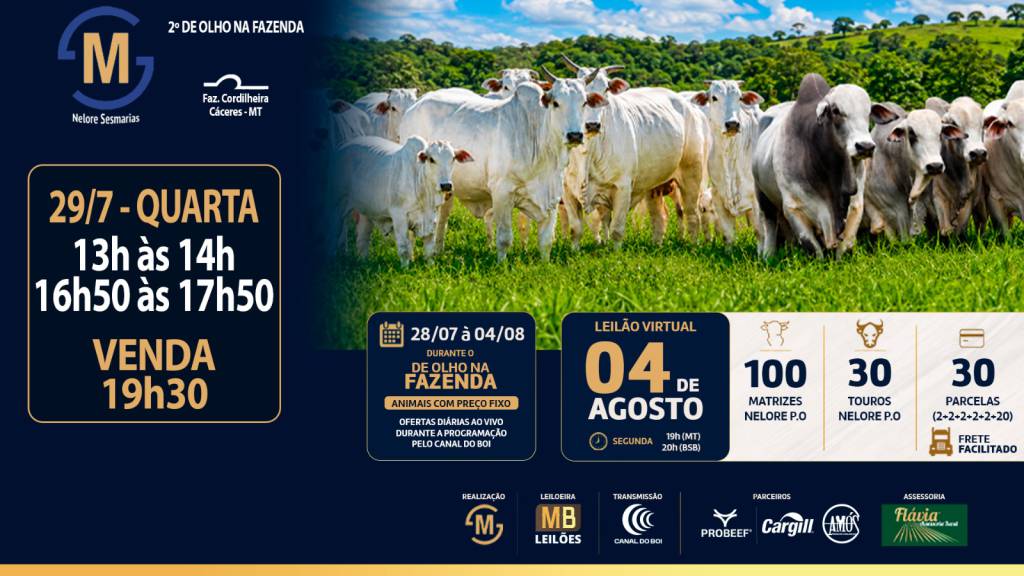 2º De Olho na Fazenda Nelore Sesmarias realiza apresentação de lotes e venda nesta quarta-feira no Canal do Boi