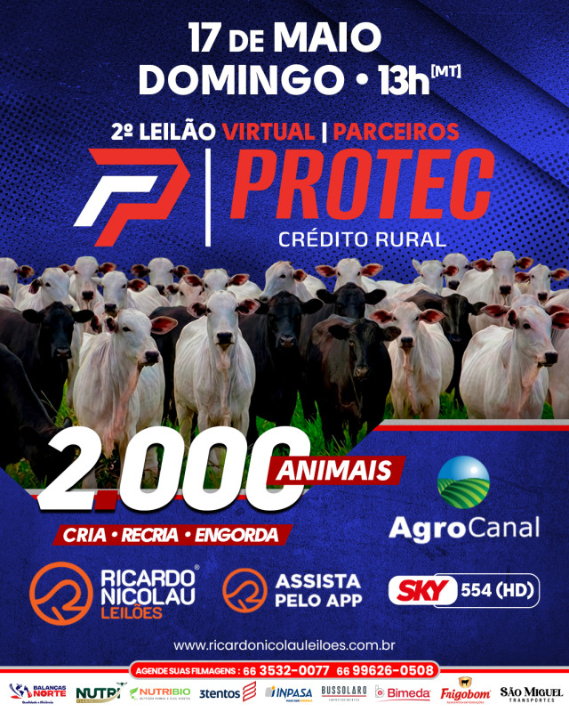2º Leilão Virtual Parceiros Protec oferta gado de corte neste domingo no Agro Canal