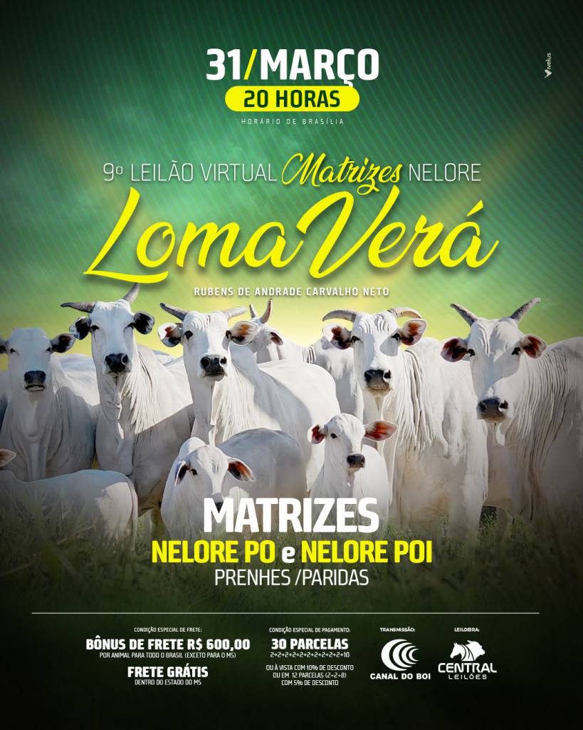 9º Leilão Virtual Matrizes Loma Verá hoje às 19h no Canal do Boi