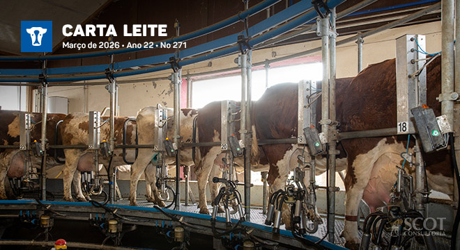 Cotação do leite reage após sequência de quedas