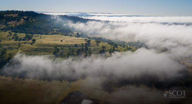 Emissões de carbono na pecuária e o impacto do confinamento na pegada de carbono